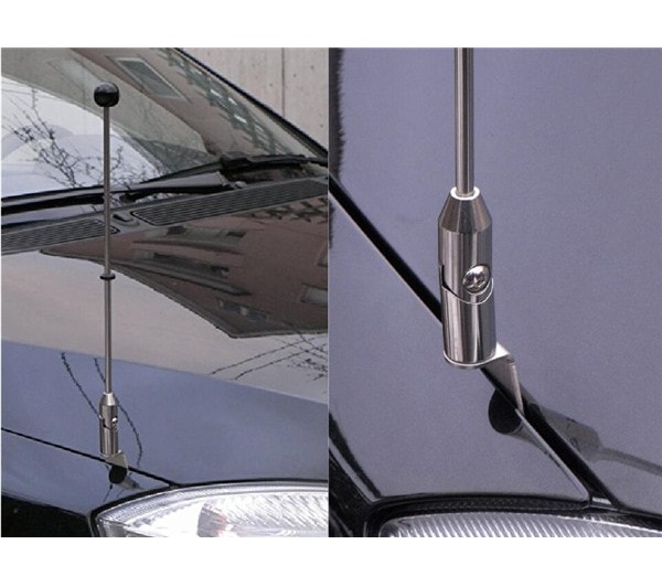 diplomat car flag mount